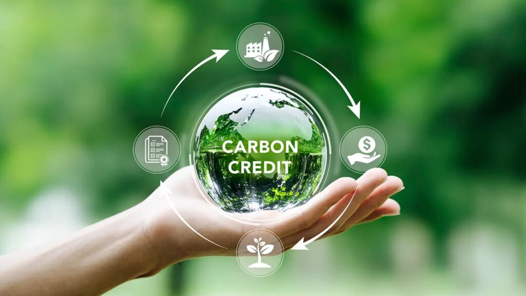 Carbon Credits