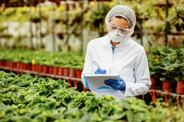 Global Food Safety Standards